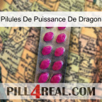 Dragon Power Pills 09